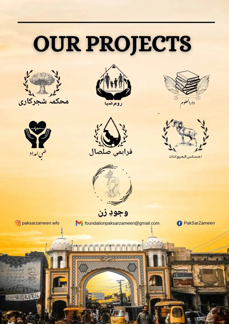 PakSarZameen Portfolio Page 2
